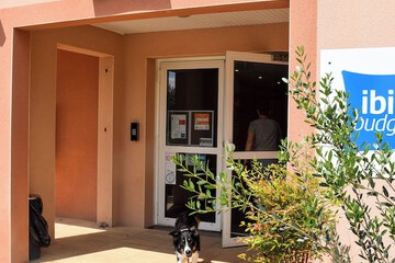 Pet-friendly