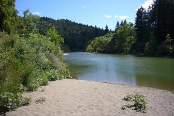 Photo 37