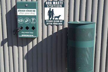 Pet Friendly 40 of 42