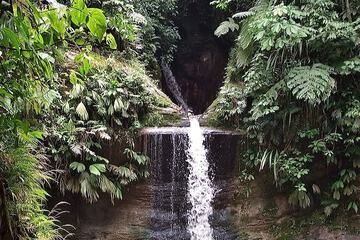 Ecotours