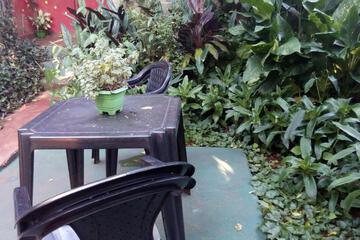 Photo 51