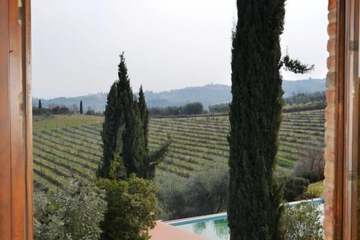 View from room