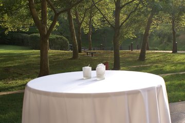 Property Grounds 94 of 95