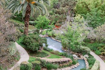 Japanese garden