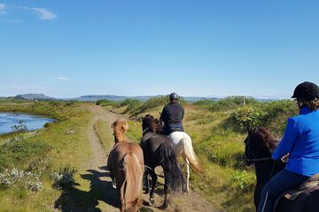 Horseback riding
