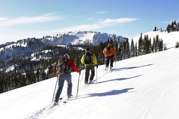 Snow and ski sports