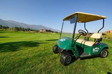 Golf cart