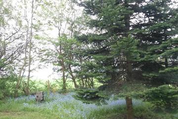 Photo 65