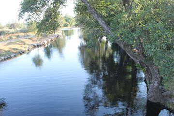 Natural pool