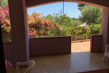 Terrace or patio
