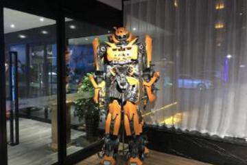 Photo 8