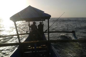 Photo 46