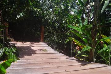 Photo 45