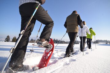 Snowshoeing