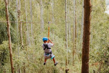 Ziplining