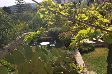 Photo 24