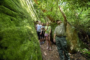 Children's activities