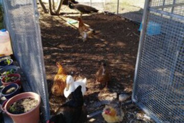 Children’s Activities