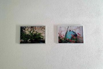 Photo 47