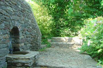 Photo 45