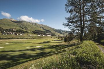 Golf view