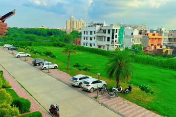 Park view