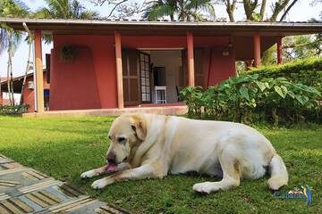Pet-friendly amenities