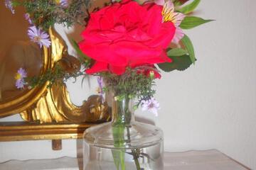 Photo 39