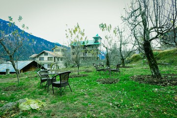 Garden