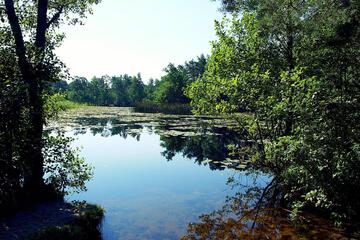 Photo 32