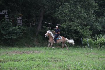Horseback riding