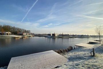 Photo 50