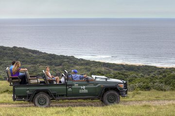 Game drive