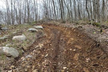 Hiking