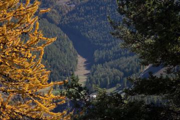 Land view from property
