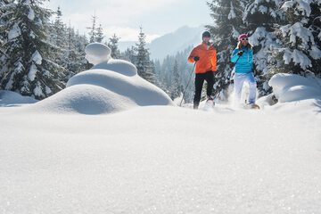 Snowshoeing
