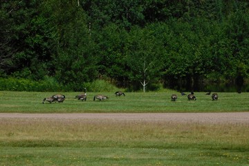 Children's play area - outdoor