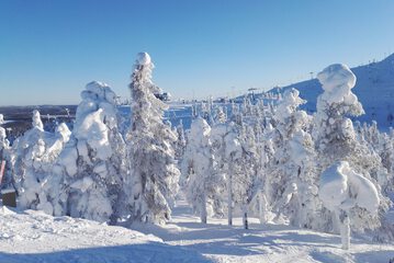 Skiing