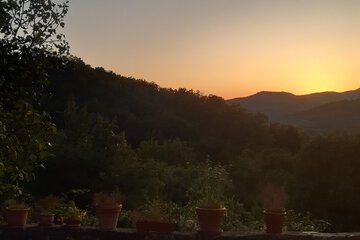 Land view from property