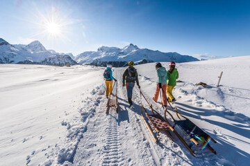 Sledding