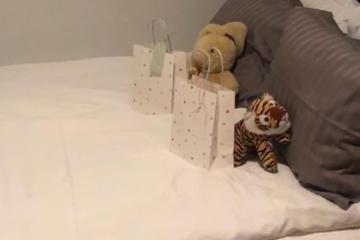 Photo 22