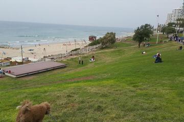 Photo 33