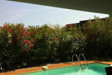 Photo 44