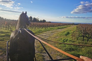 Horseback riding