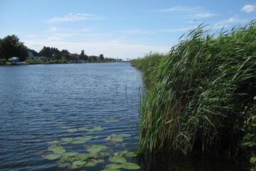 Photo 50