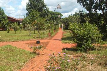Photo 28