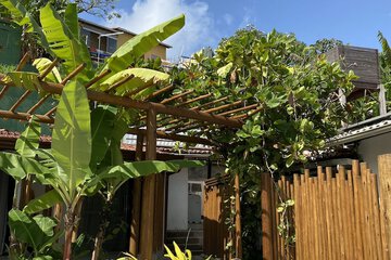 Garden view
