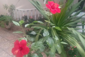 outside