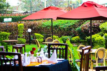 Garden view