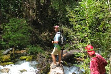 Ecotours